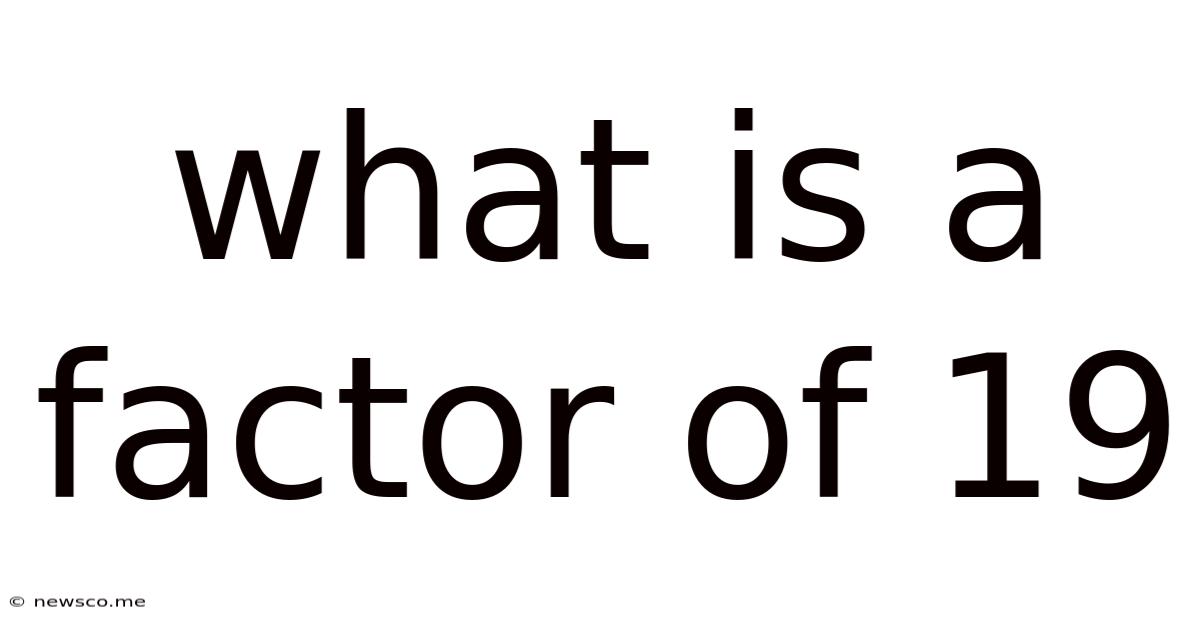 What Is A Factor Of 19