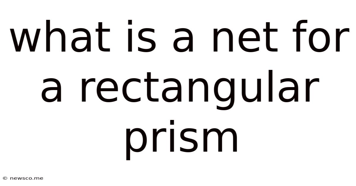 What Is A Net For A Rectangular Prism