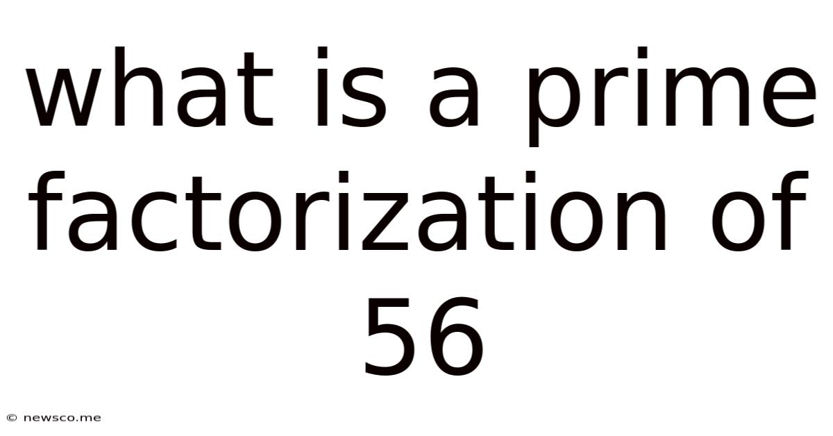 What Is A Prime Factorization Of 56