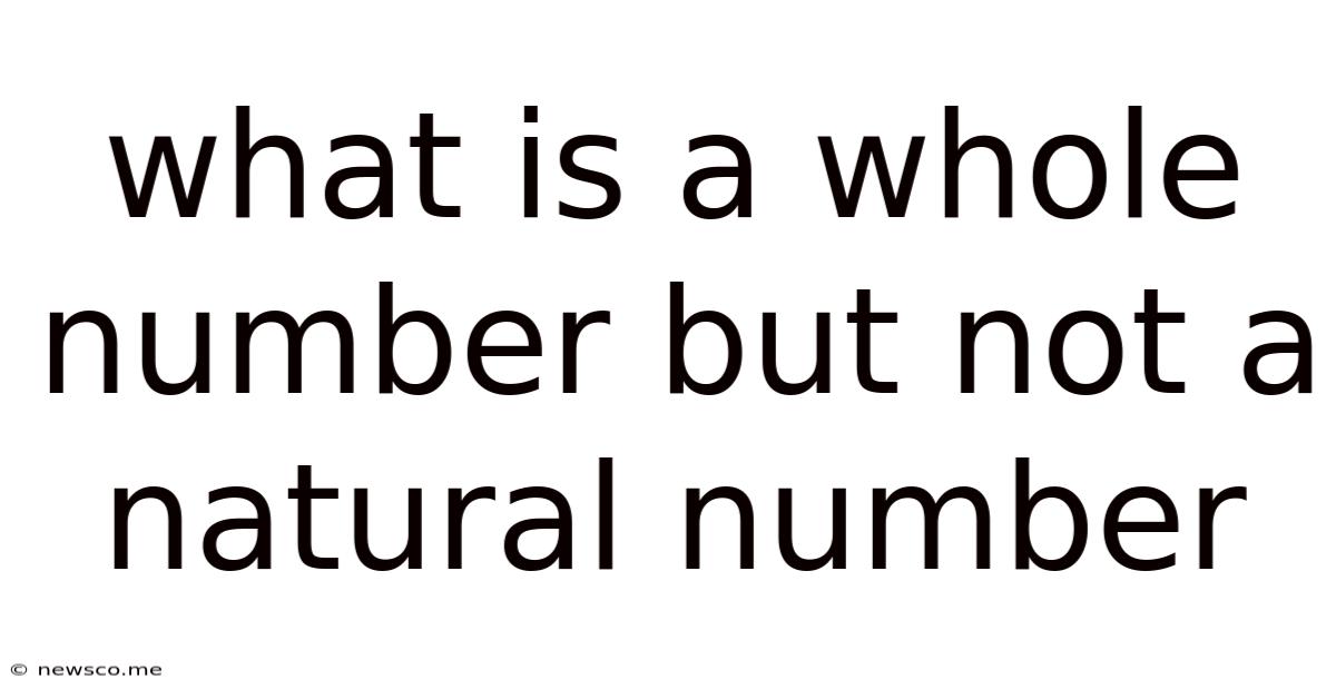 What Is A Whole Number But Not A Natural Number