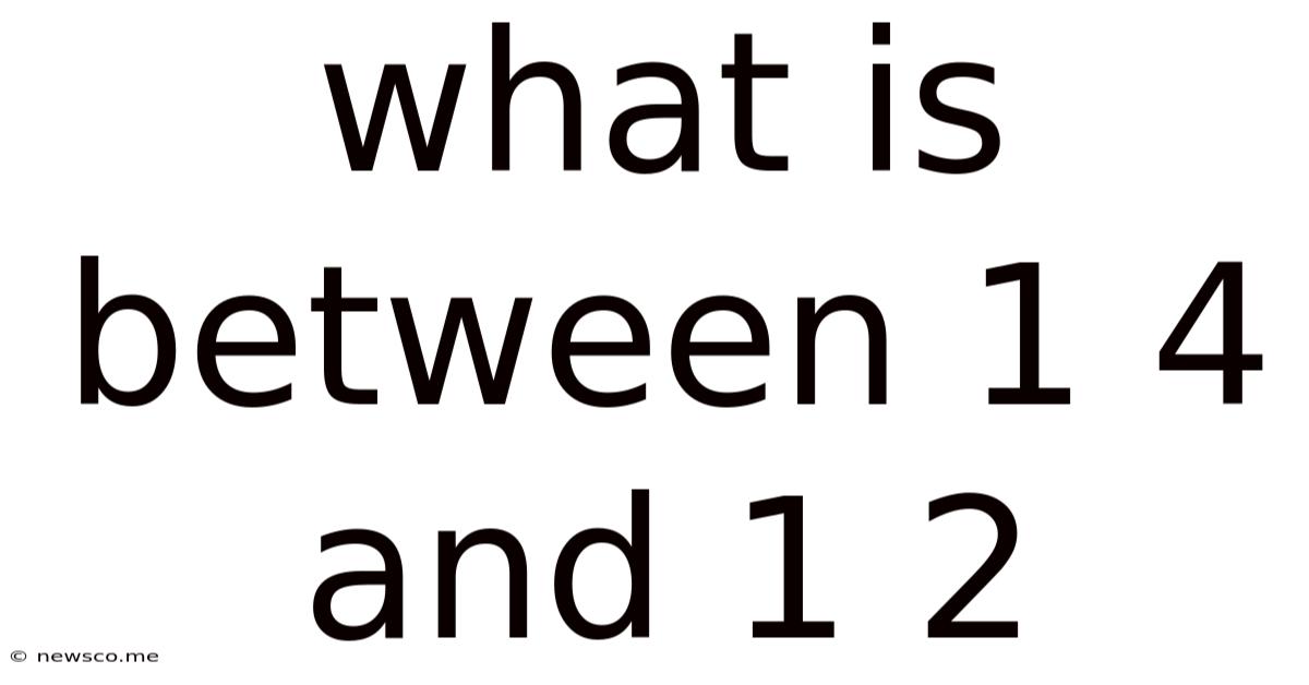 What Is Between 1 4 And 1 2