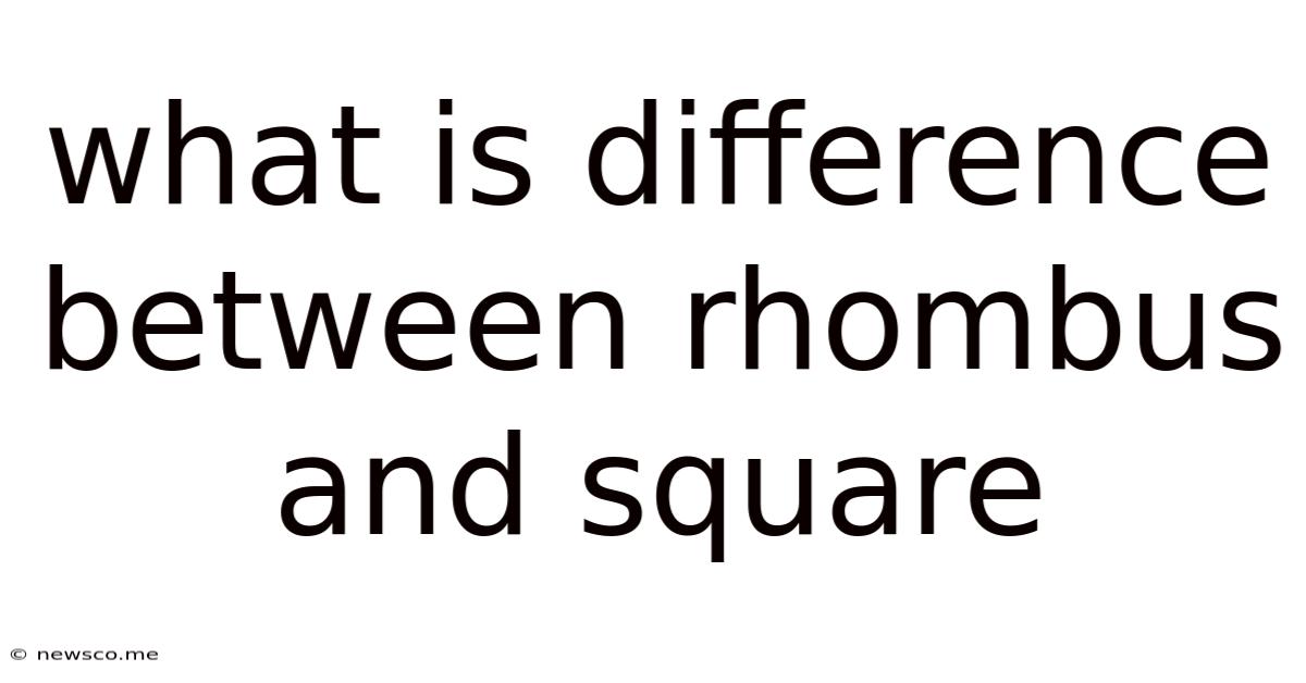 What Is Difference Between Rhombus And Square