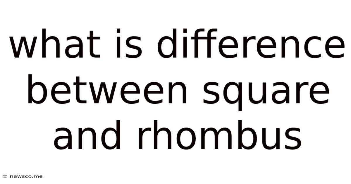 What Is Difference Between Square And Rhombus
