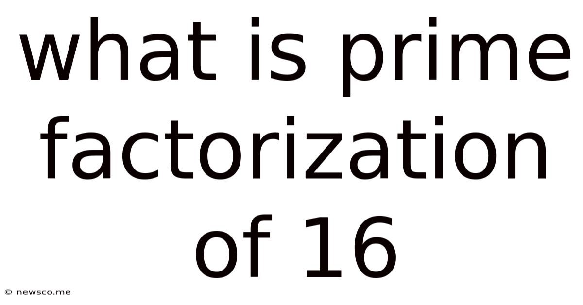What Is Prime Factorization Of 16