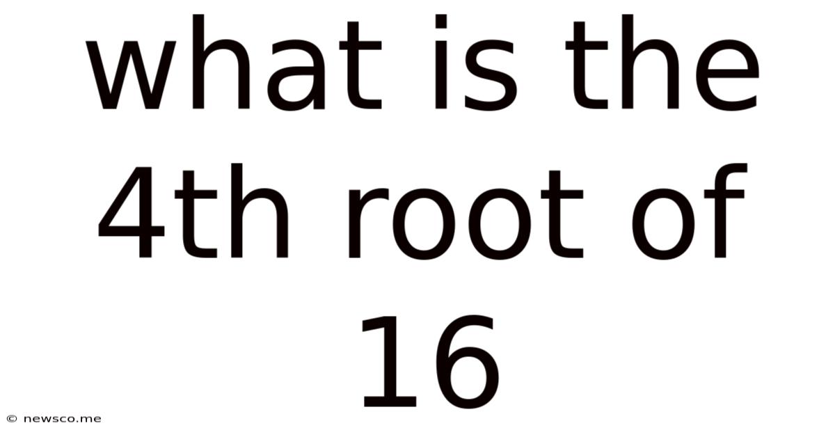 What Is The 4th Root Of 16