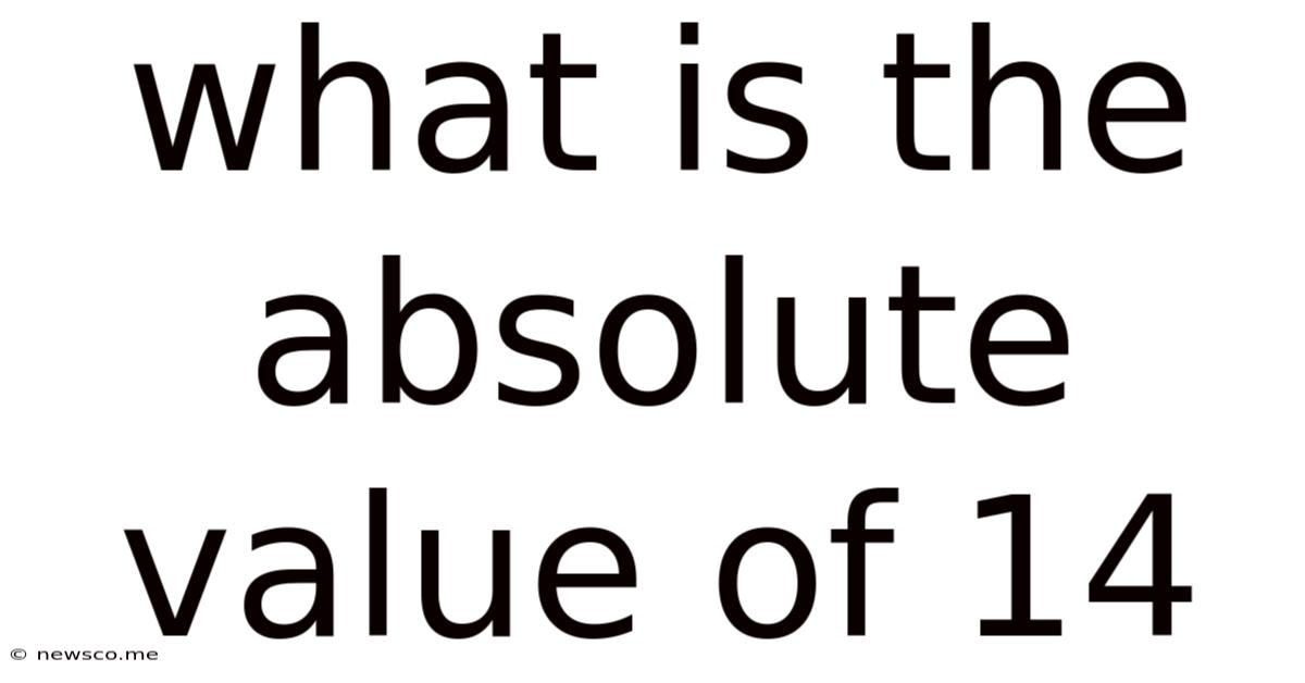 What Is The Absolute Value Of 14