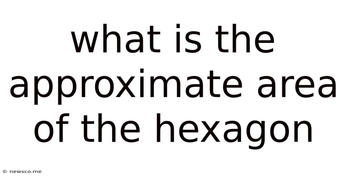 What Is The Approximate Area Of The Hexagon