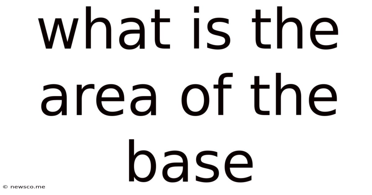 What Is The Area Of The Base