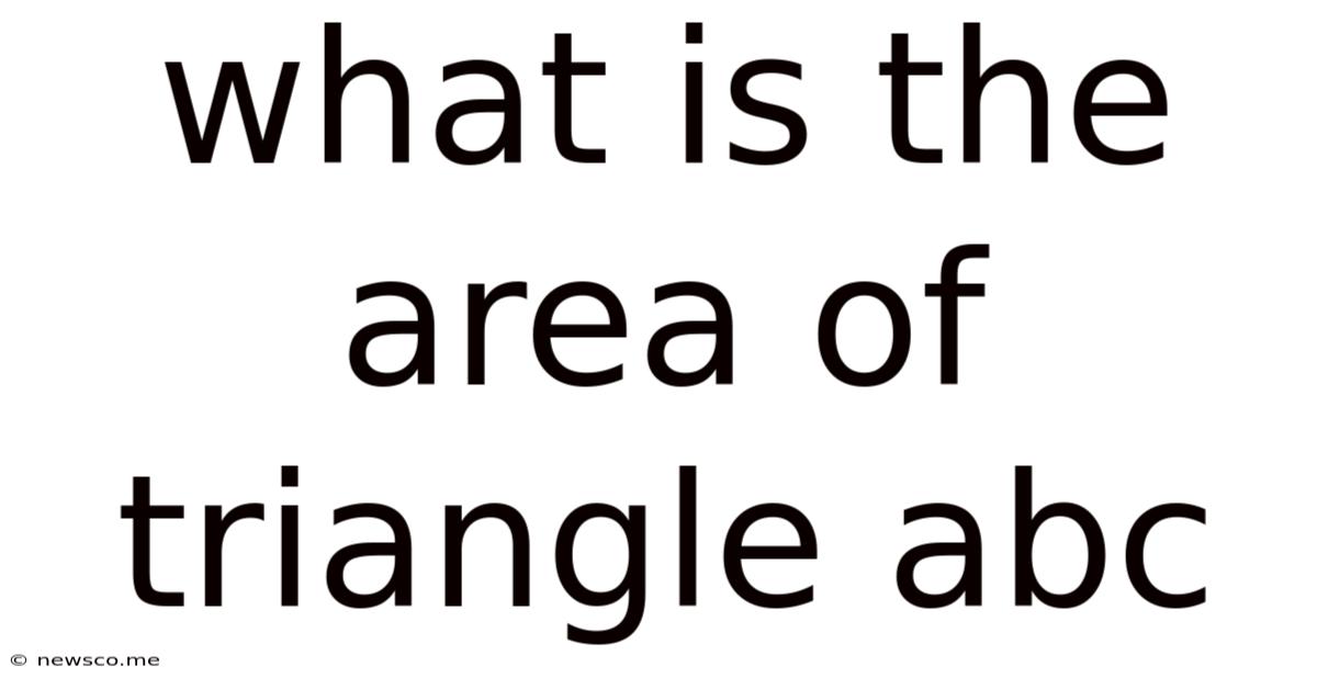 What Is The Area Of Triangle Abc