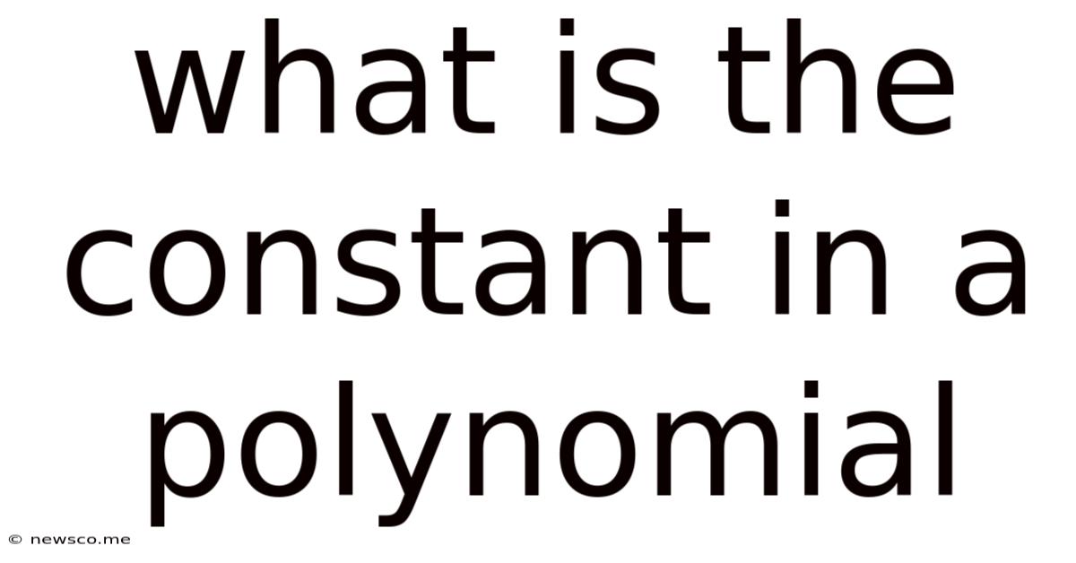 What Is The Constant In A Polynomial