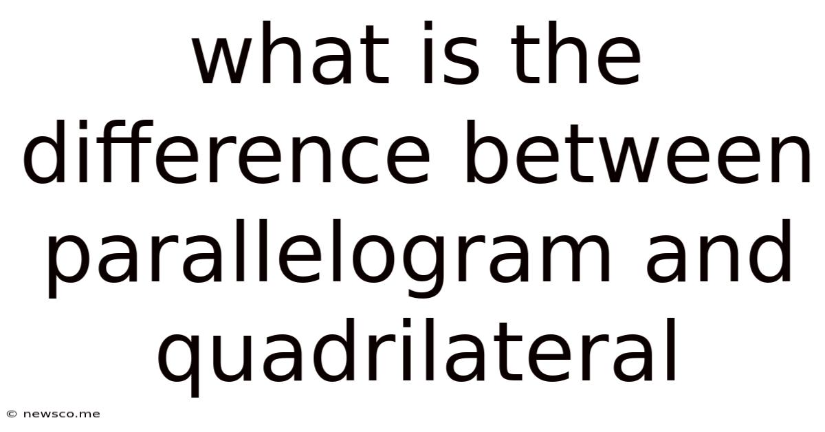 What Is The Difference Between Parallelogram And Quadrilateral