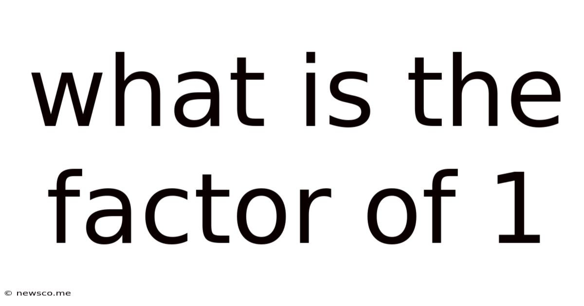 What Is The Factor Of 1