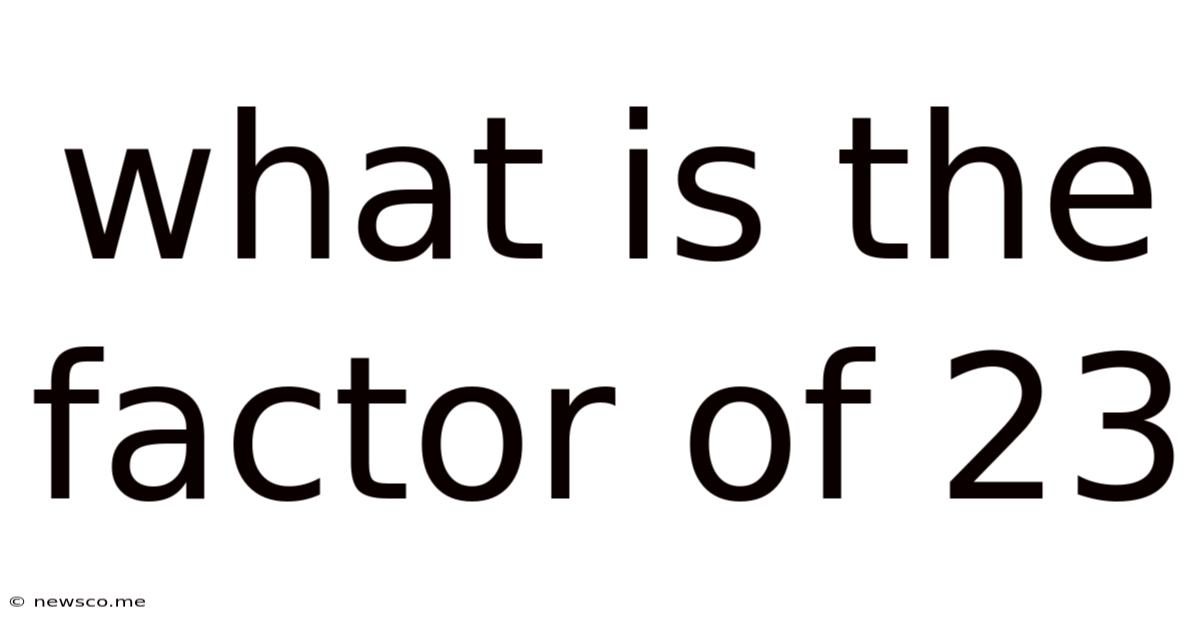 What Is The Factor Of 23