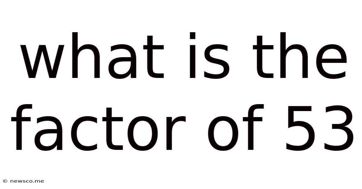 What Is The Factor Of 53