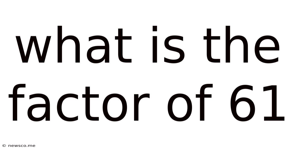 What Is The Factor Of 61