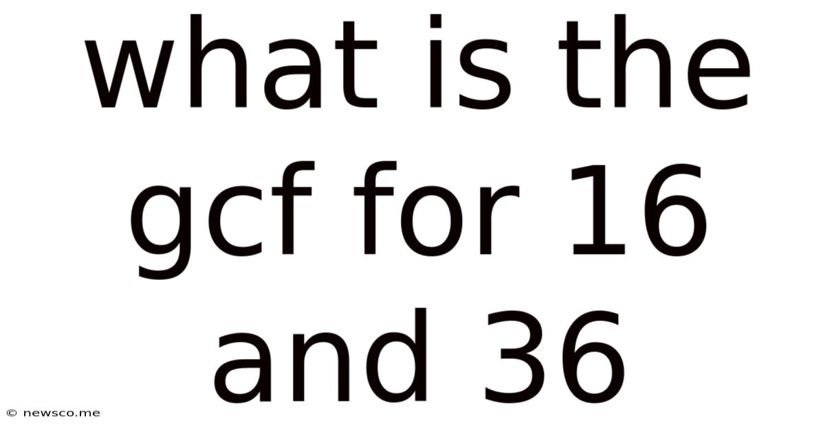 What Is The Gcf For 16 And 36