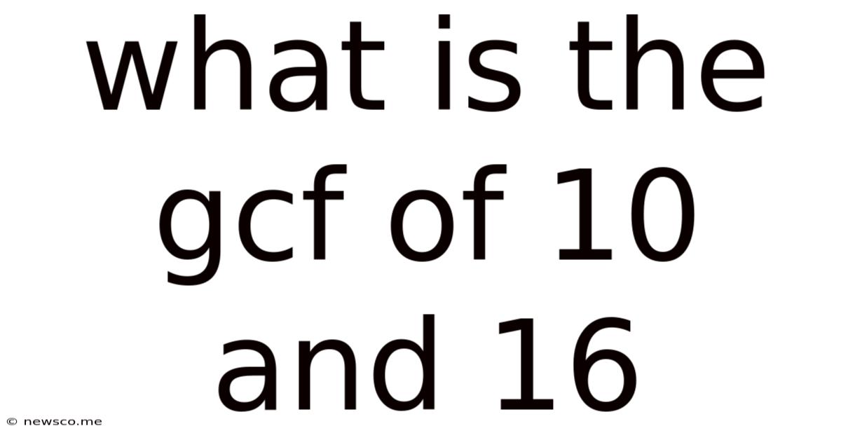What Is The Gcf Of 10 And 16
