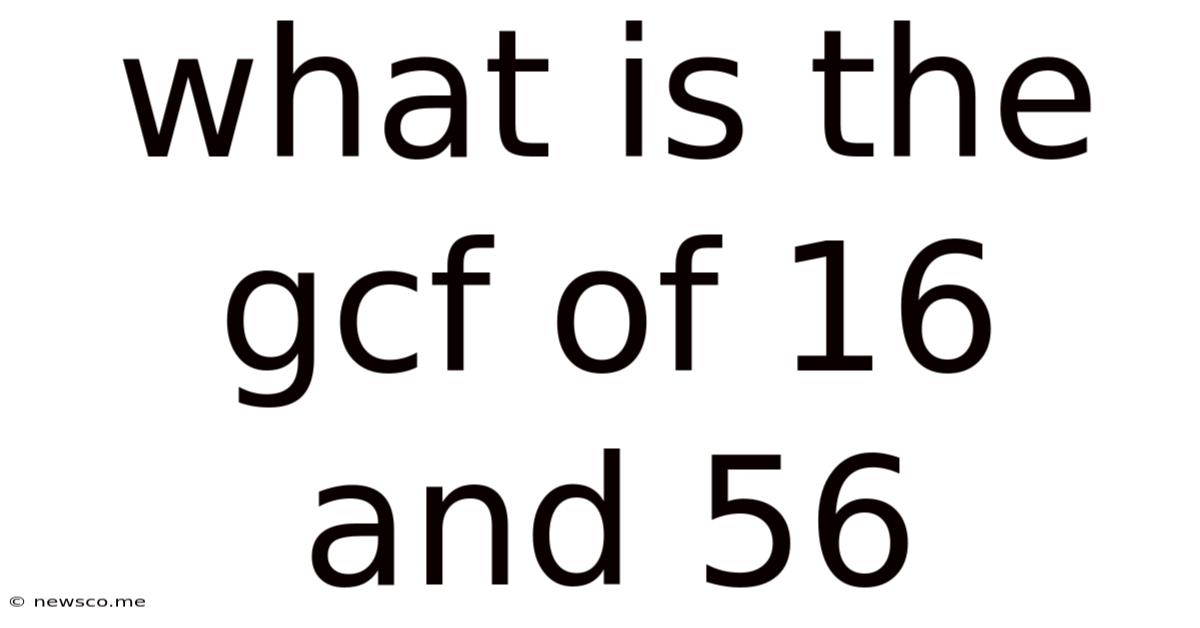 What Is The Gcf Of 16 And 56