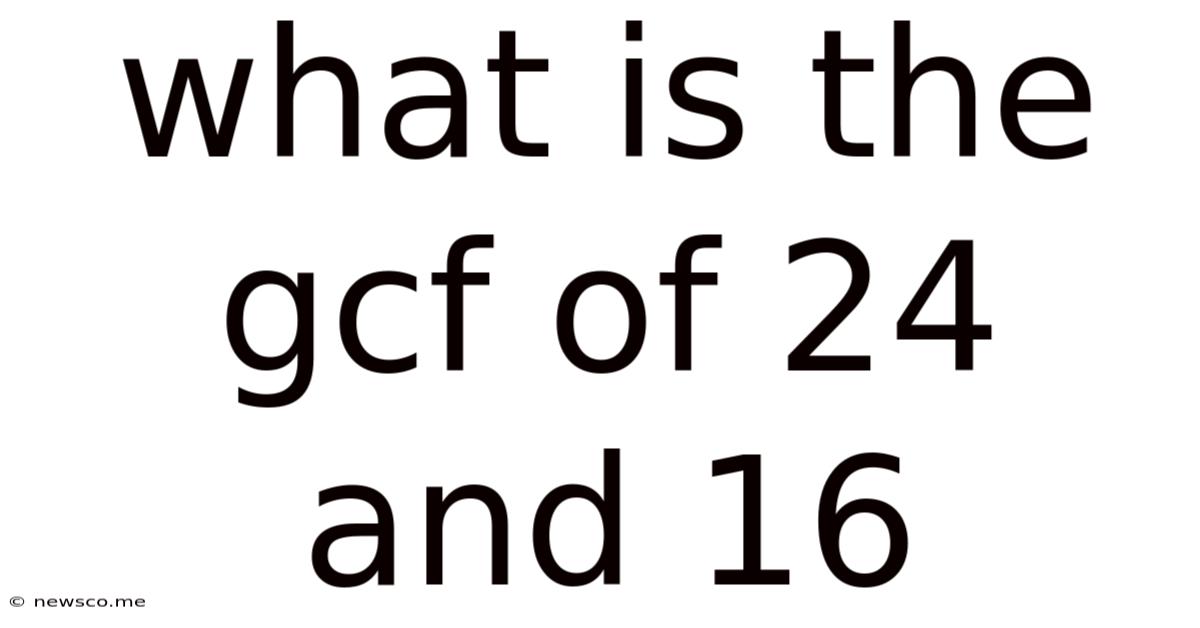 What Is The Gcf Of 24 And 16
