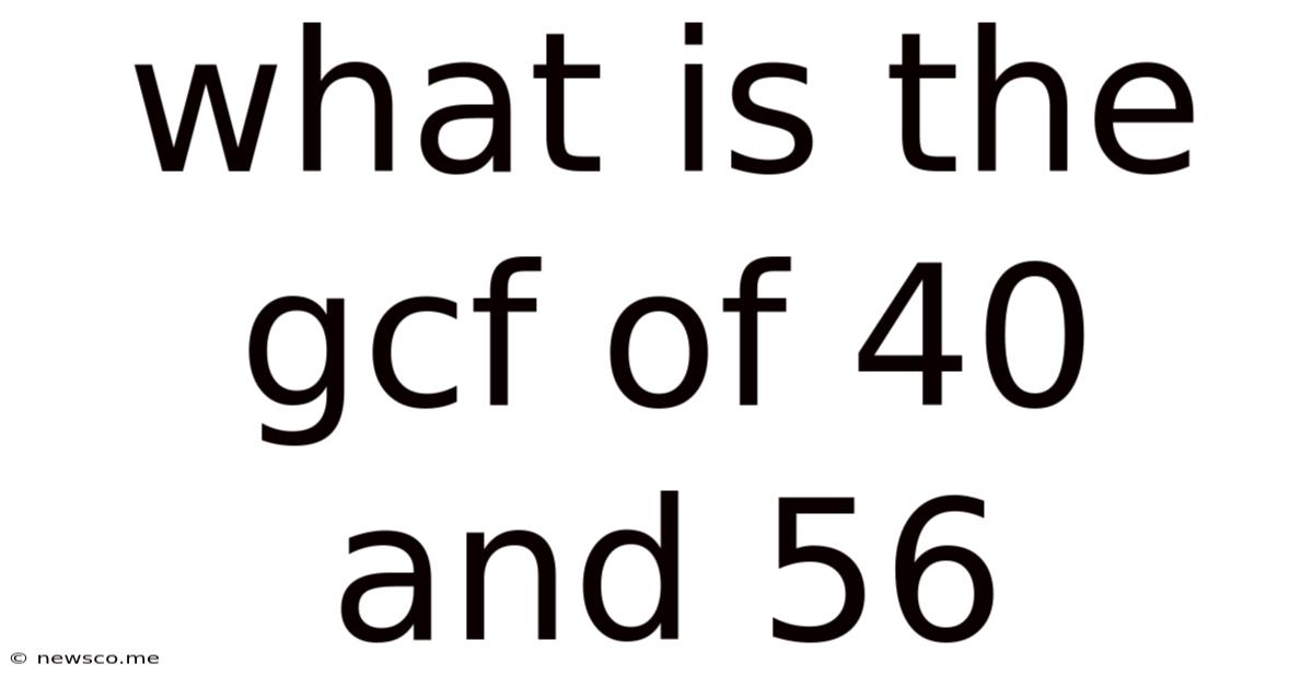 What Is The Gcf Of 40 And 56