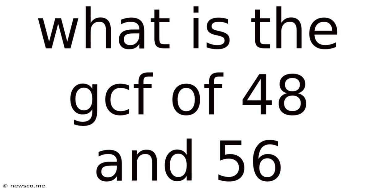 What Is The Gcf Of 48 And 56