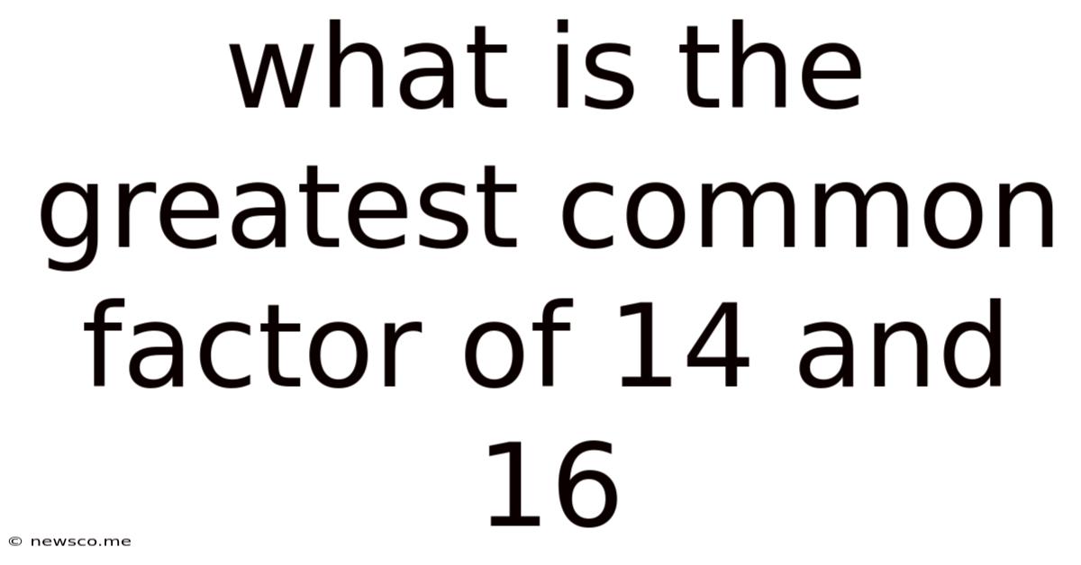 What Is The Greatest Common Factor Of 14 And 16