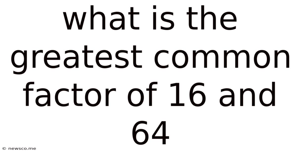 What Is The Greatest Common Factor Of 16 And 64