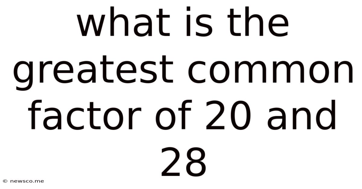 What Is The Greatest Common Factor Of 20 And 28