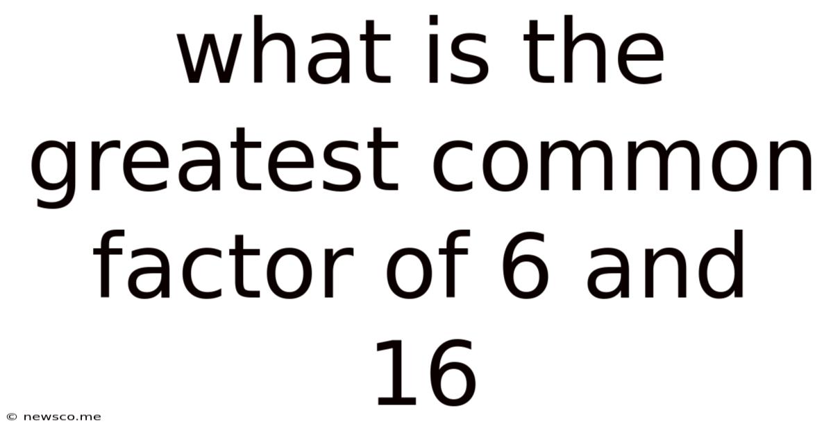 What Is The Greatest Common Factor Of 6 And 16