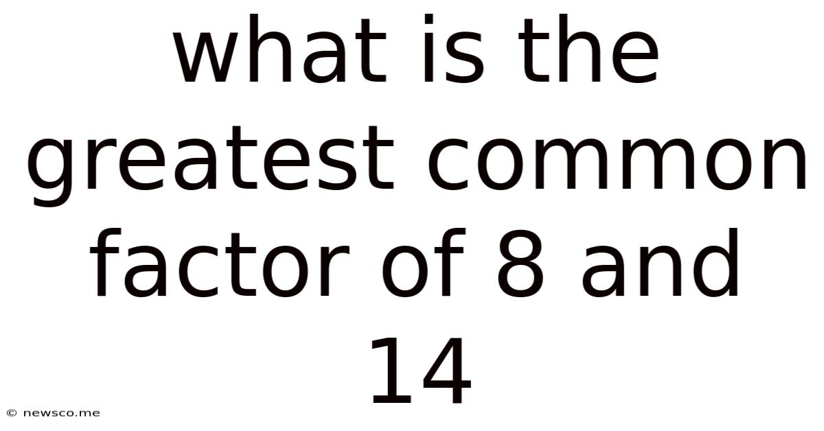What Is The Greatest Common Factor Of 8 And 14