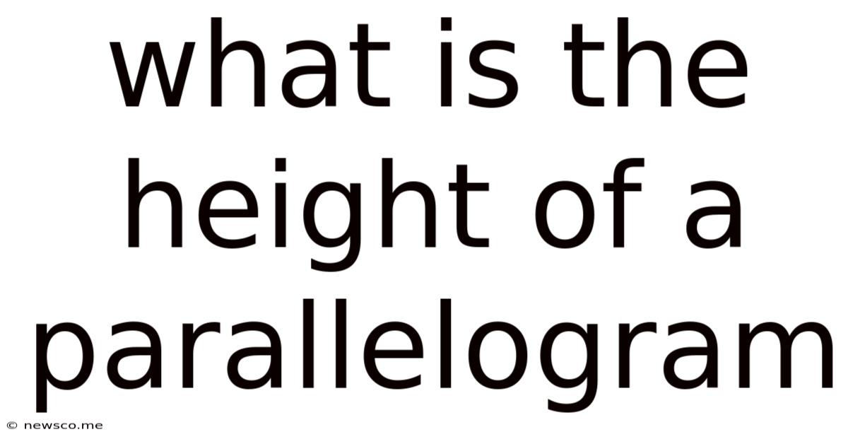 What Is The Height Of A Parallelogram