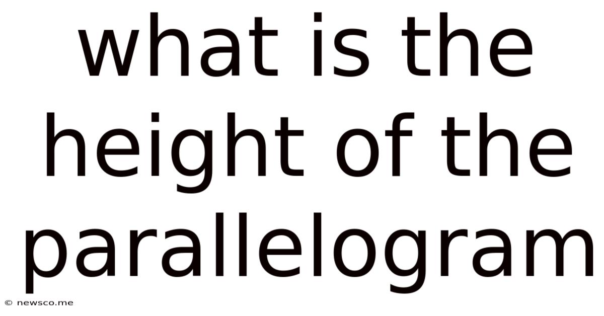 What Is The Height Of The Parallelogram