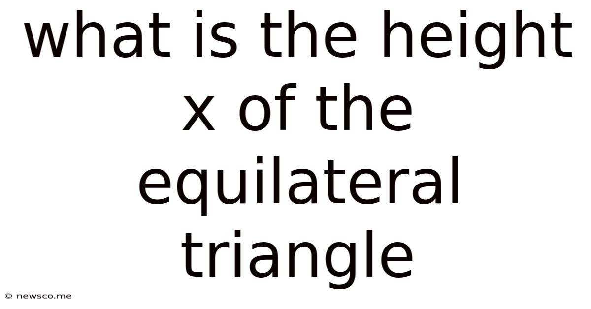 What Is The Height X Of The Equilateral Triangle