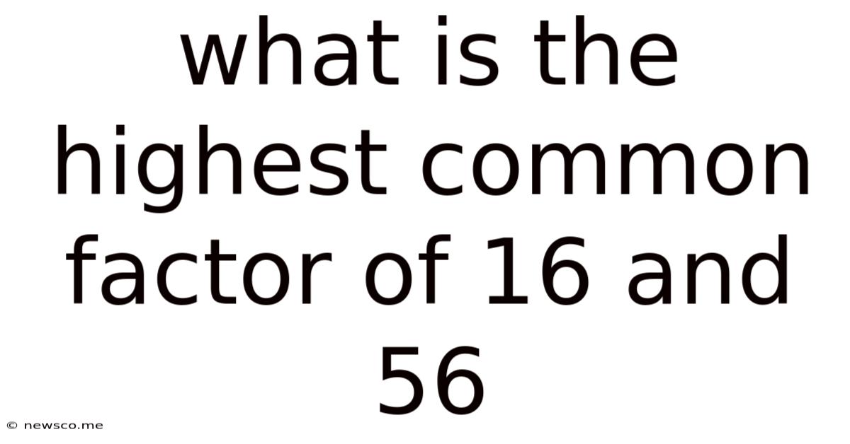 What Is The Highest Common Factor Of 16 And 56