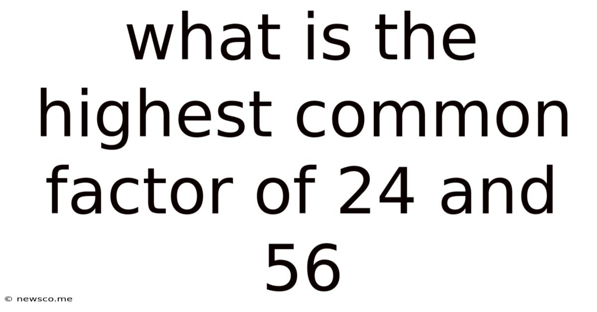What Is The Highest Common Factor Of 24 And 56