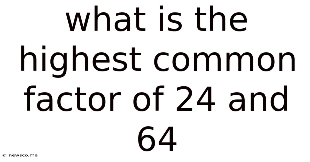 What Is The Highest Common Factor Of 24 And 64