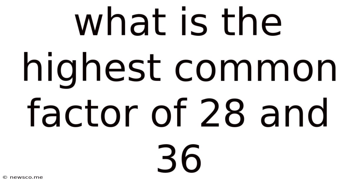 What Is The Highest Common Factor Of 28 And 36