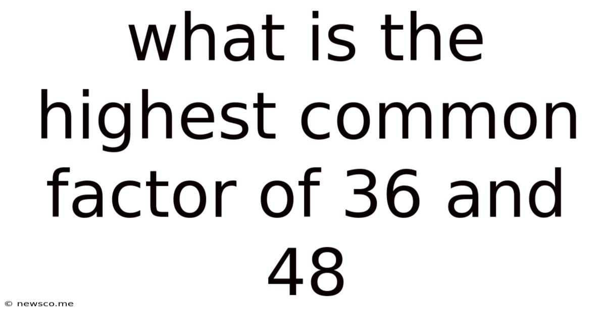 What Is The Highest Common Factor Of 36 And 48