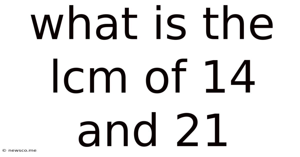 What Is The Lcm Of 14 And 21
