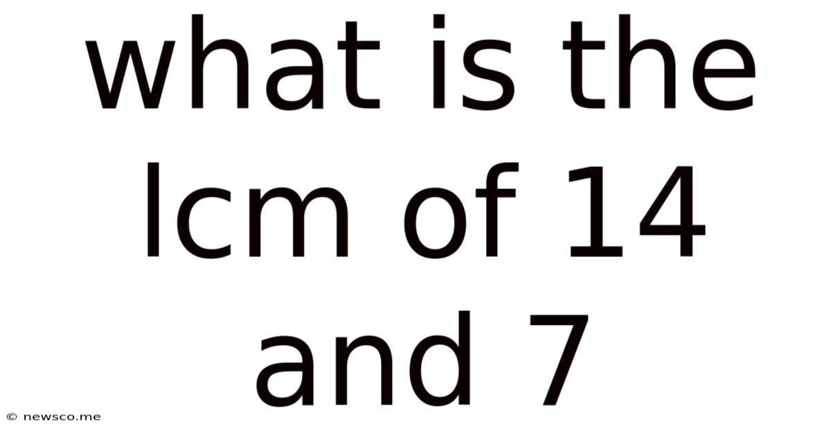 What Is The Lcm Of 14 And 7