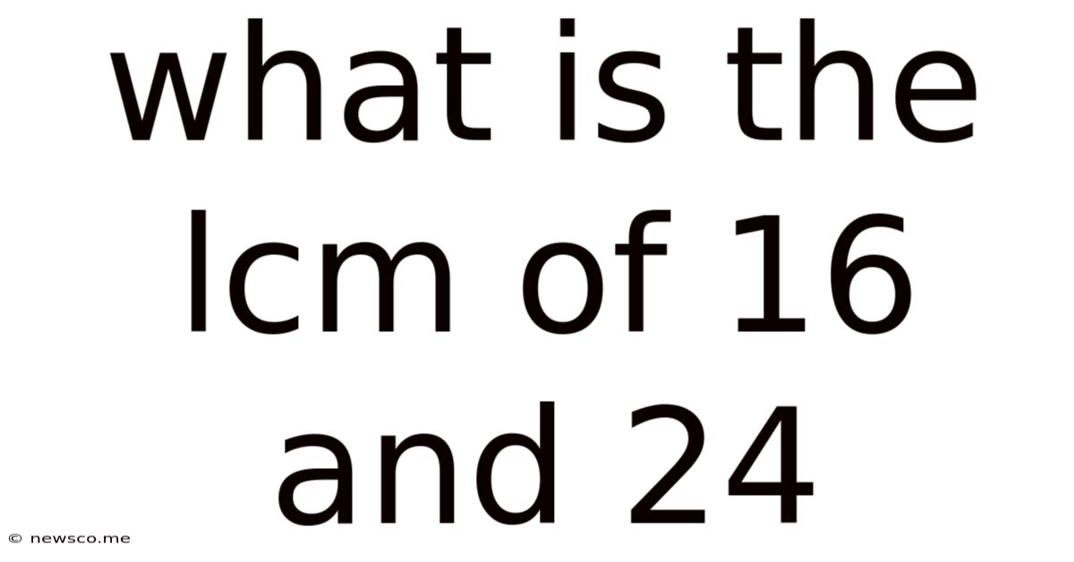What Is The Lcm Of 16 And 24