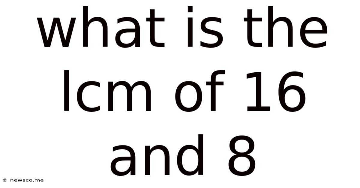 What Is The Lcm Of 16 And 8