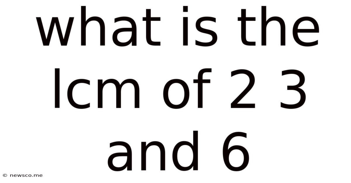 What Is The Lcm Of 2 3 And 6