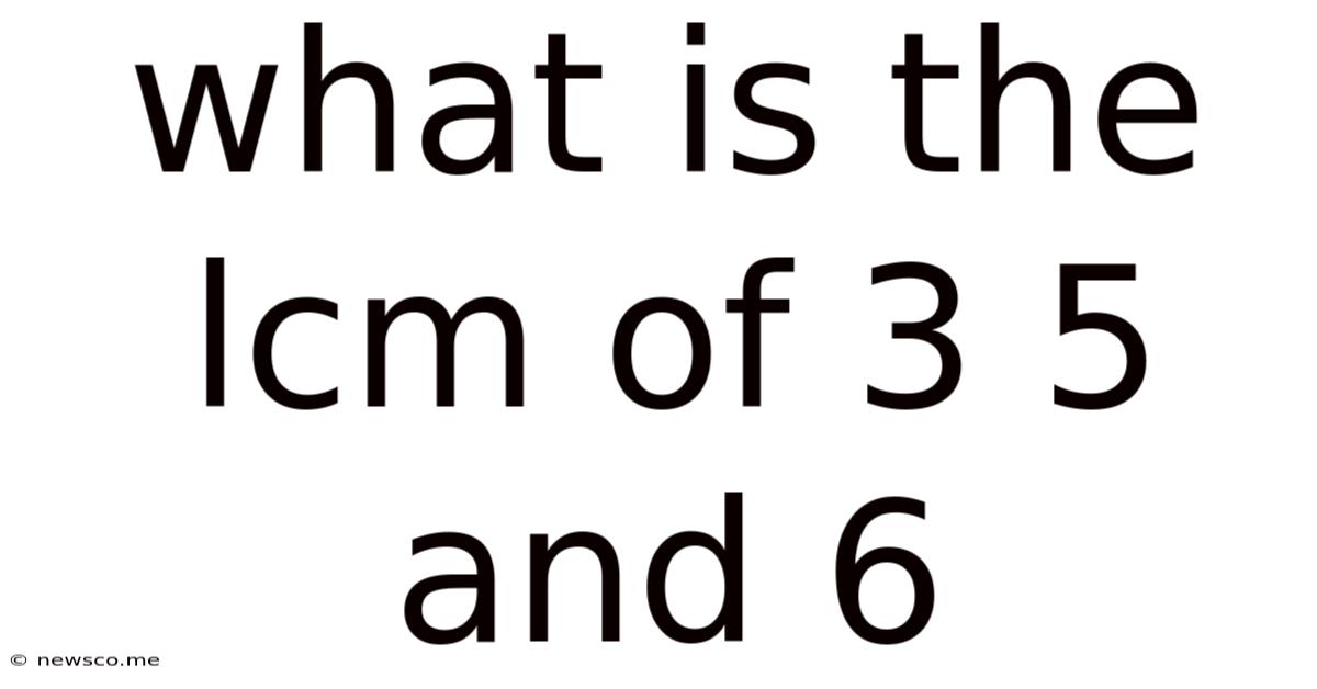 What Is The Lcm Of 3 5 And 6