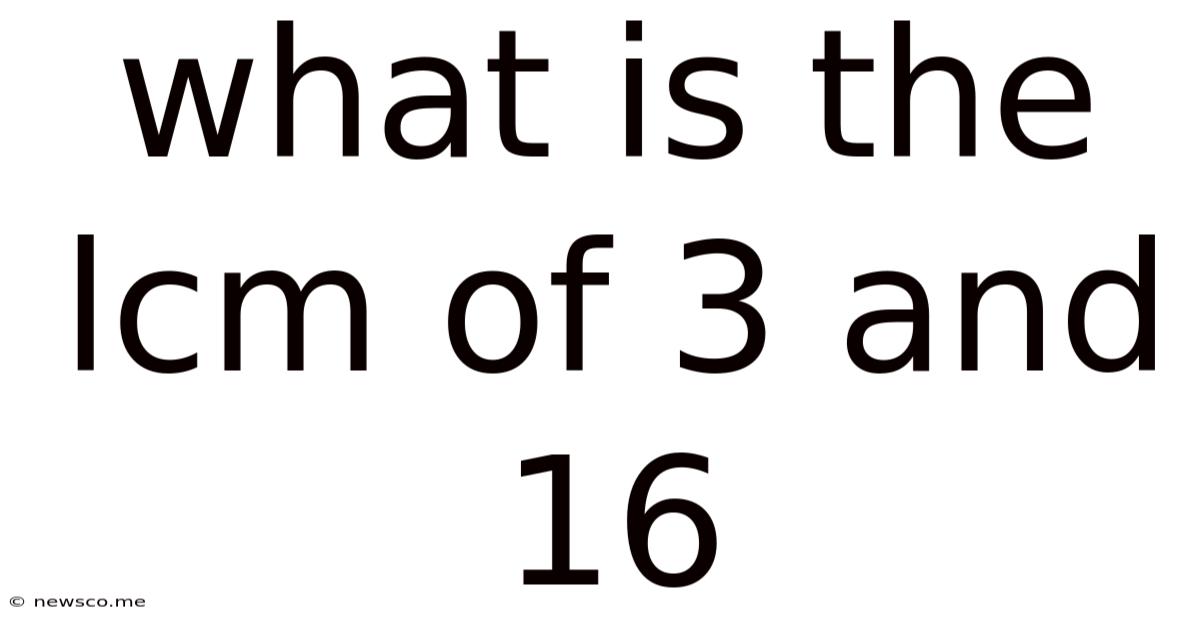 What Is The Lcm Of 3 And 16