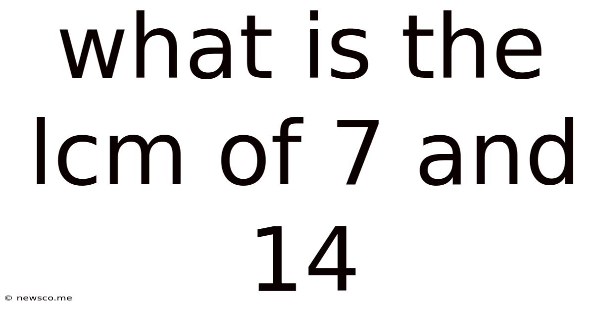 What Is The Lcm Of 7 And 14