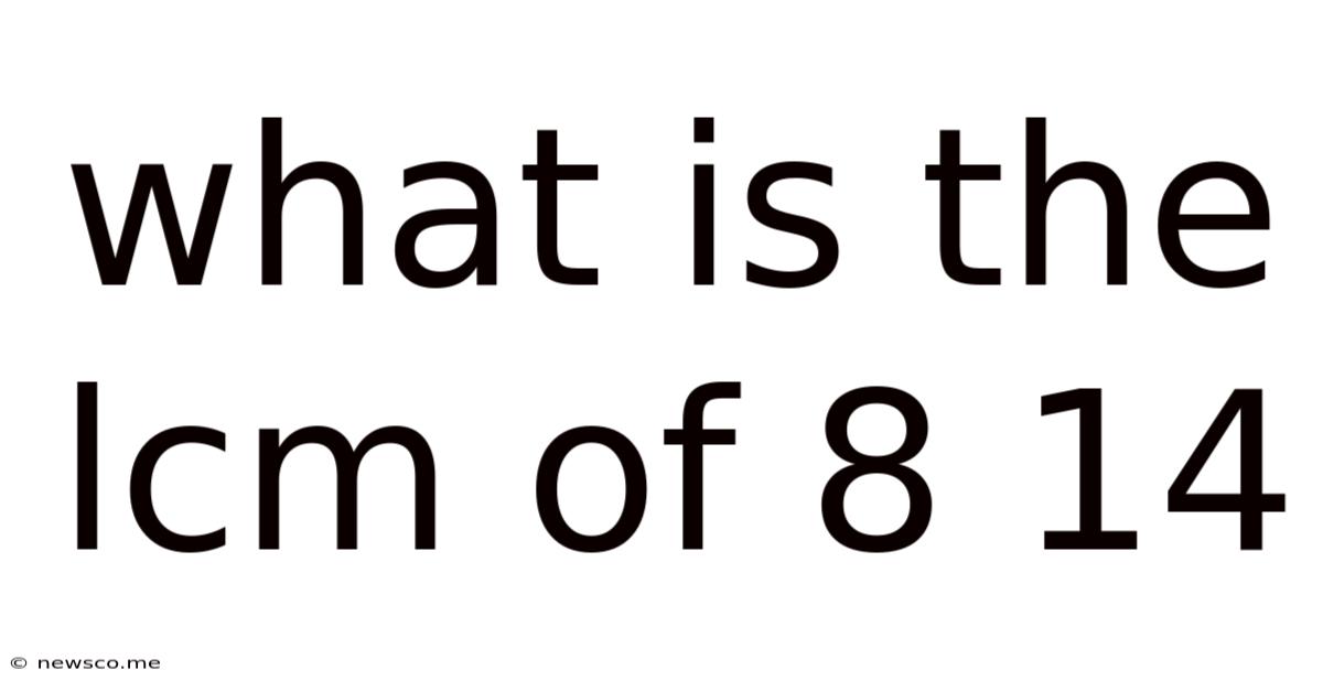 What Is The Lcm Of 8 14