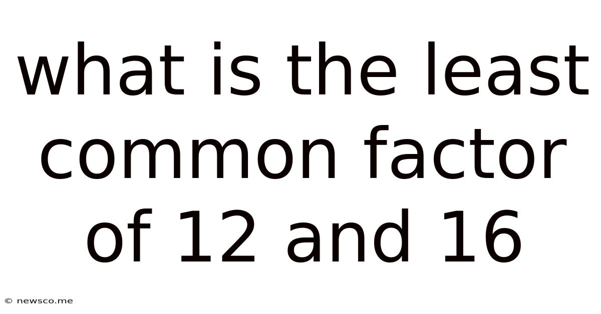 What Is The Least Common Factor Of 12 And 16
