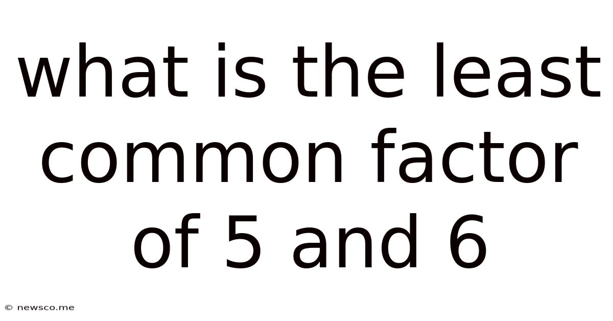 What Is The Least Common Factor Of 5 And 6