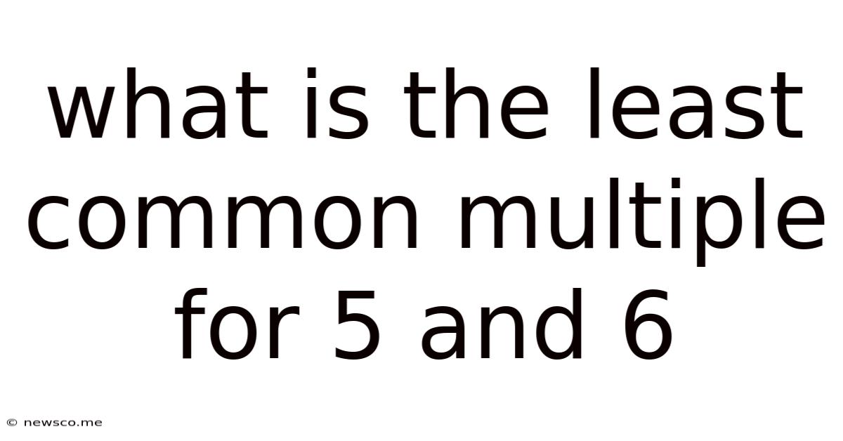 What Is The Least Common Multiple For 5 And 6
